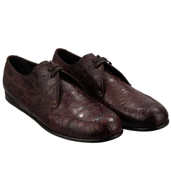 Very exclusive and rare caiman leather derby shoes SIRACUSA in bordeaux by DOLCE & GABBANA