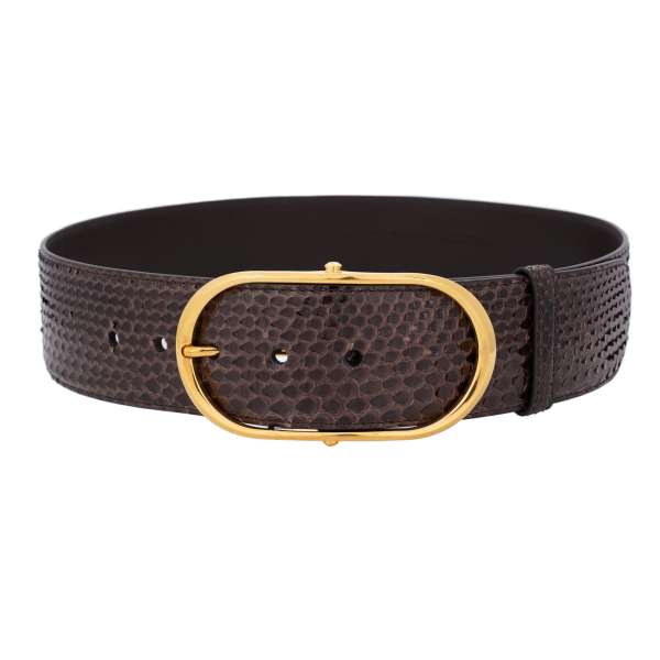 Snake skin leather belt with golden metal buckle in brown by DOLCE & GABBANA 