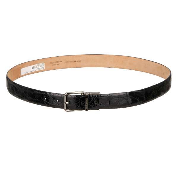 Classic glossy Crocodile Leather belt with silver buckle in black by DOLCE & GABBANA