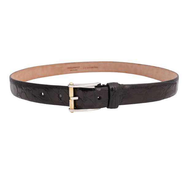 Crocodile Leather belt with silver metal buckle in black, silver and gold by DOLCE & GABBANA