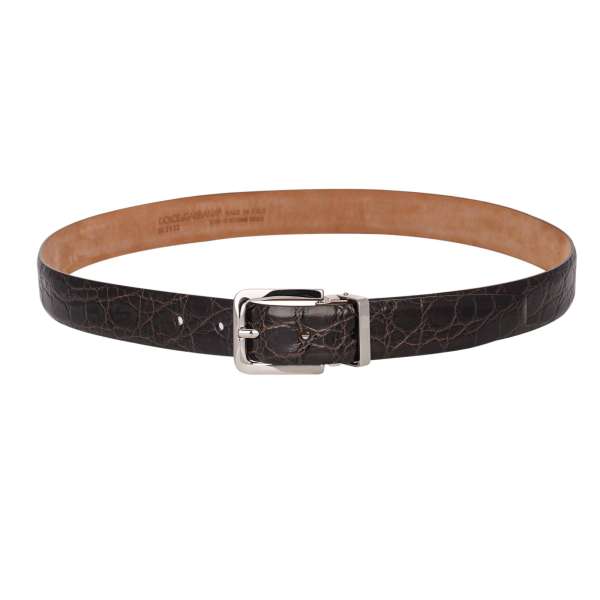 Classic crocodile leather belt with silver metal buckle in brown by DOLCE & GABBANA