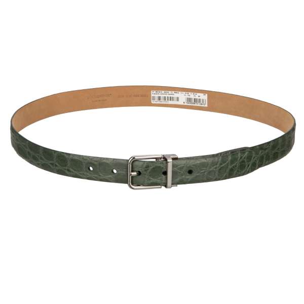 Crocodile Leather belt with silver buckle in green by DOLCE & GABBANA