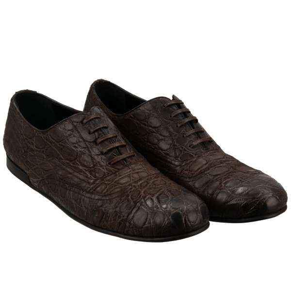 Exclusive caiman leather derby shoes SIRACUSA in brown by DOLCE & GABBANA