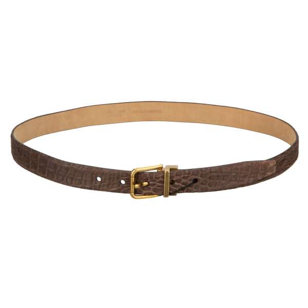 Crocodile Leather belt with gold buckle in brown by DOLCE & GABBANA